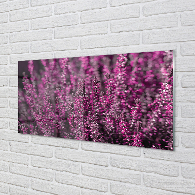 Quadro acrilico Campo heather