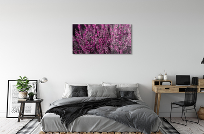 Quadro acrilico Campo heather