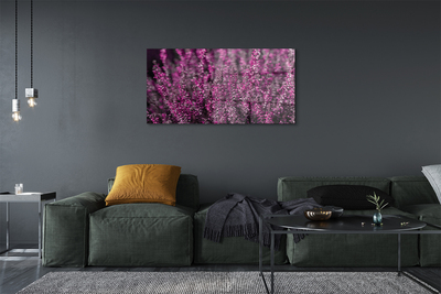 Quadro acrilico Campo heather