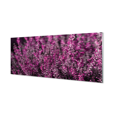 Quadro acrilico Campo heather