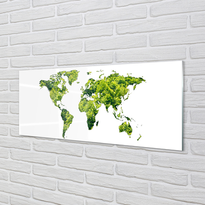 Quadro vetro acrilico Mappa di erba verde