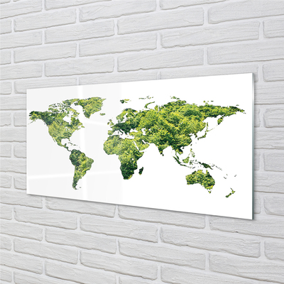 Quadro vetro acrilico Mappa di erba verde