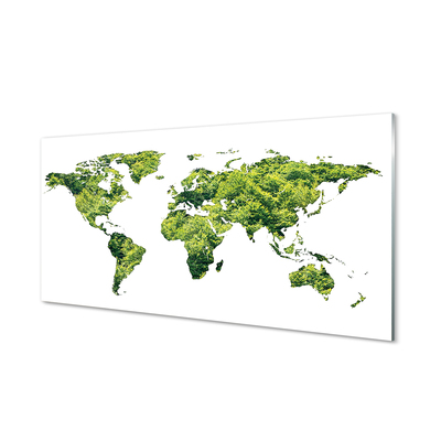 Quadro vetro acrilico Mappa di erba verde