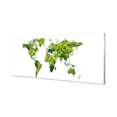 Quadro vetro acrilico Mappa di erba verde