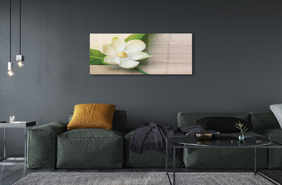 Quadro acrilico Magnolia bianca