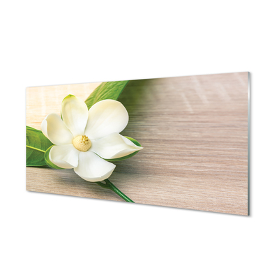 Quadro acrilico Magnolia bianca