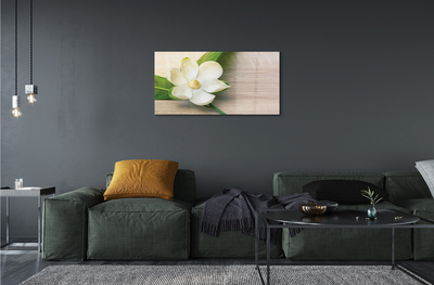 Quadro acrilico Magnolia bianca