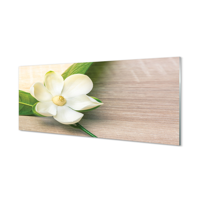 Quadro acrilico Magnolia bianca