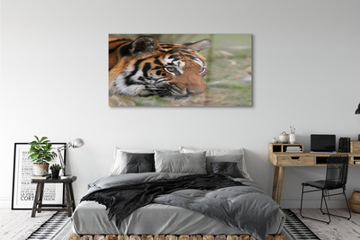 Quadro acrilico Foresta di tigre