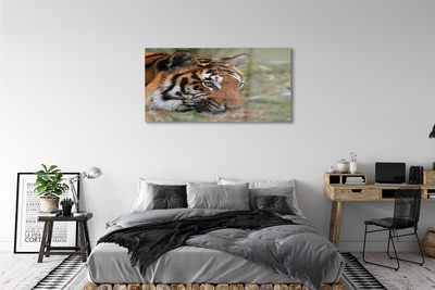 Quadro acrilico Foresta di tigre