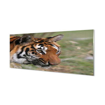 Quadro acrilico Foresta di tigre