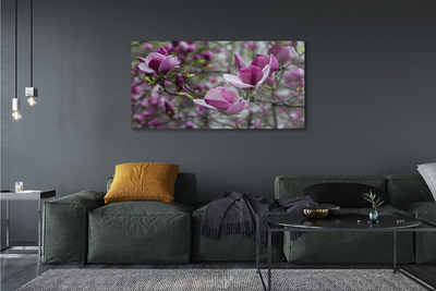 Quadro acrilico Magnolia viola