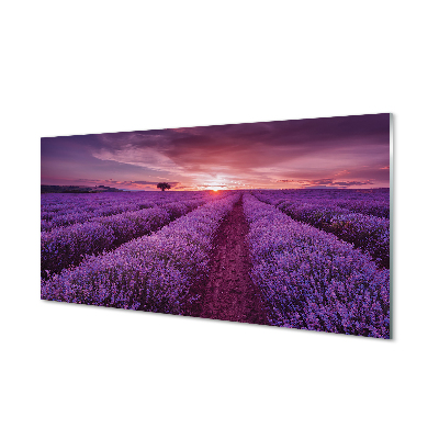 Quadro acrilico Campo heather