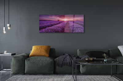 Quadro acrilico Campo heather