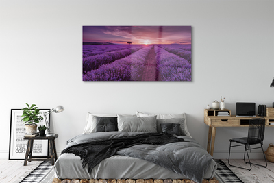 Quadro acrilico Campo heather