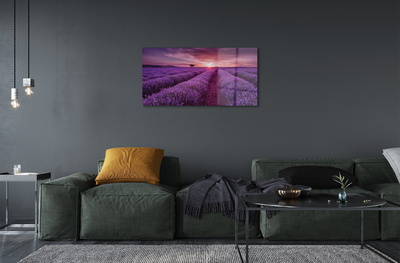 Quadro acrilico Campo heather