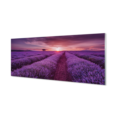 Quadro acrilico Campo heather