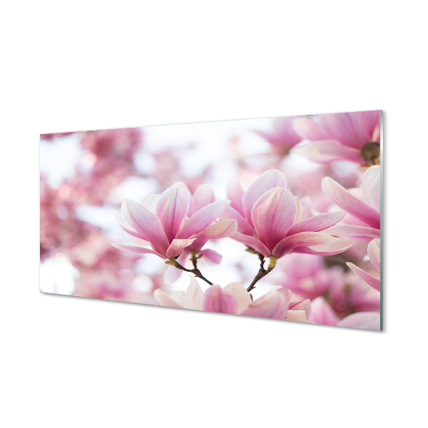 Quadro vetro acrilico Alberi magnolia