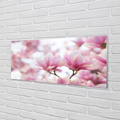 Quadro vetro acrilico Alberi magnolia