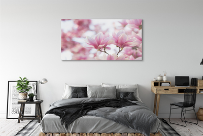 Quadro vetro acrilico Alberi magnolia