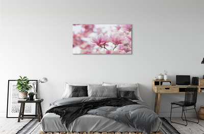 Quadro vetro acrilico Alberi magnolia