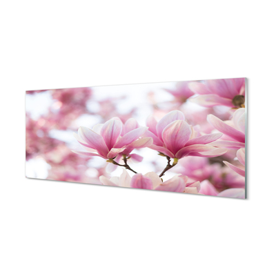 Quadro vetro acrilico Alberi magnolia