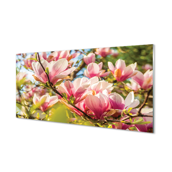 Quadro vetro acrilico Magnolia rosa