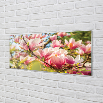 Quadro vetro acrilico Magnolia rosa