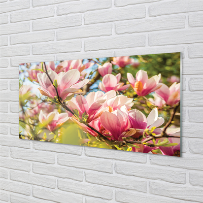 Quadro vetro acrilico Magnolia rosa