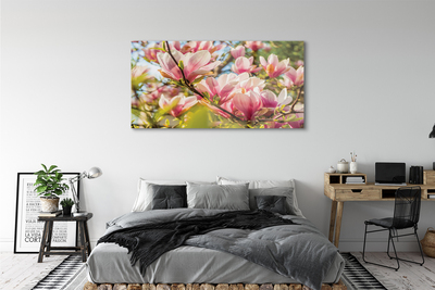 Quadro vetro acrilico Magnolia rosa