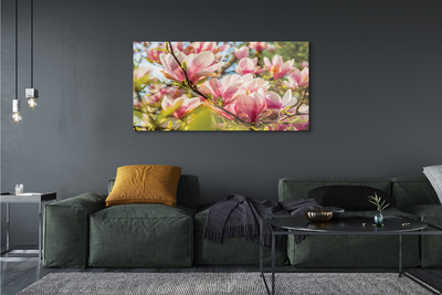 Quadro vetro acrilico Magnolia rosa