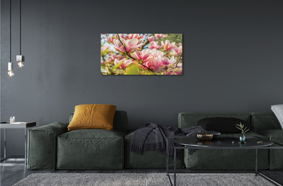 Quadro vetro acrilico Magnolia rosa