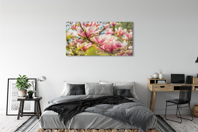 Quadro vetro acrilico Magnolia rosa