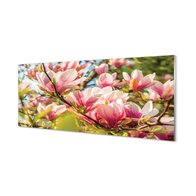 Quadro vetro acrilico Magnolia rosa