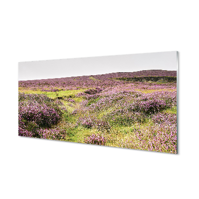 Quadro acrilico Campo heather