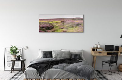 Quadro acrilico Campo heather