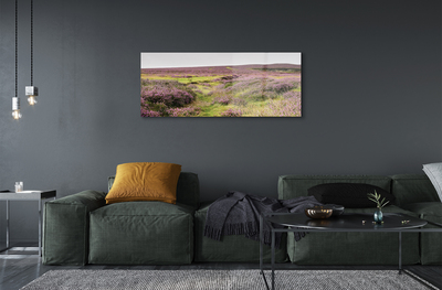 Quadro acrilico Campo heather