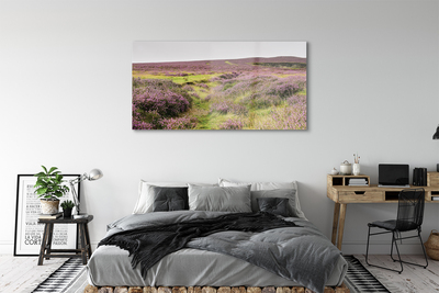 Quadro acrilico Campo heather