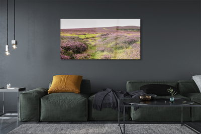 Quadro acrilico Campo heather