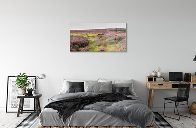 Quadro acrilico Campo heather