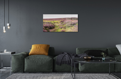 Quadro acrilico Campo heather