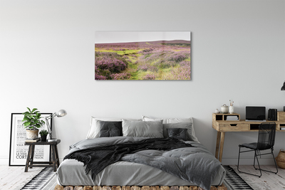 Quadro acrilico Campo heather