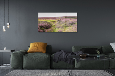 Quadro acrilico Campo heather