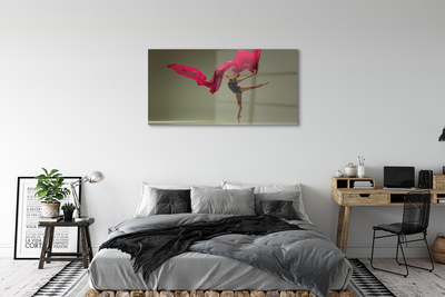 Quadro su vetro acrilico Materiale rosa ballerina