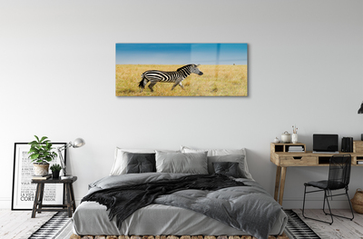 Quadro acrilico Campo zebra