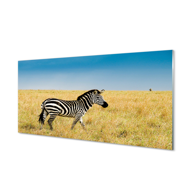 Quadro acrilico Campo zebra