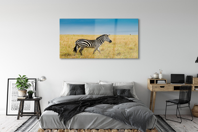 Quadro acrilico Campo zebra