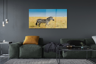 Quadro acrilico Campo zebra