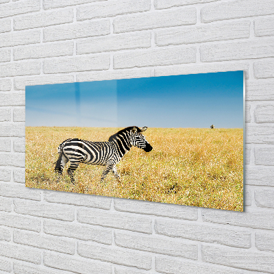 Quadro acrilico Campo zebra