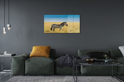 Quadro acrilico Campo zebra